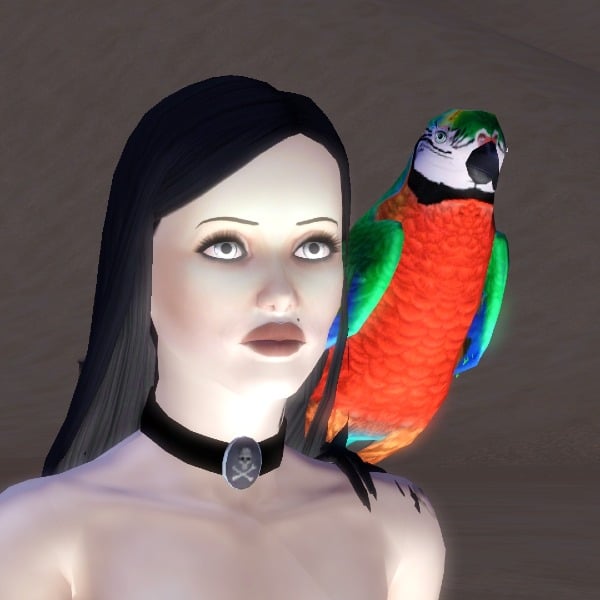 user-avatar