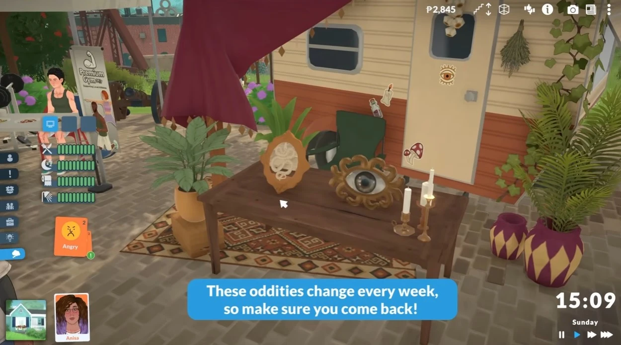 Paralives Sunday Market: weekly street stalls selling unique rotating items