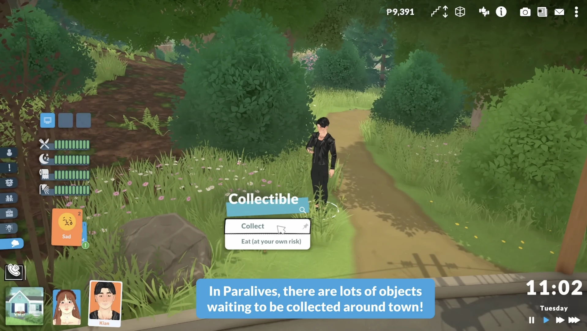 Paralives: сосновые грибы в лесу — пример коллекционного предмета