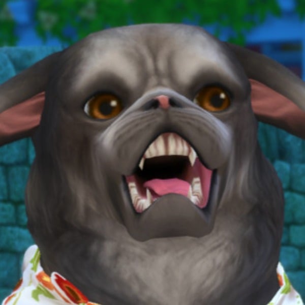 user-avatar